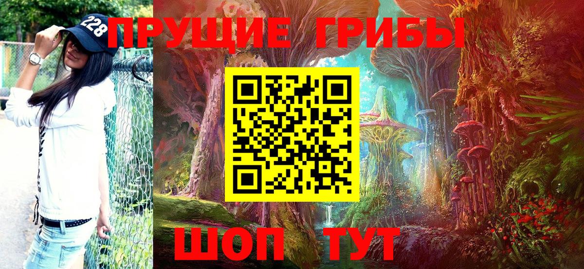 Псилоцибиновые грибы MAGIC MUSHROOMS  Вход с VPN  Новозыбков 
